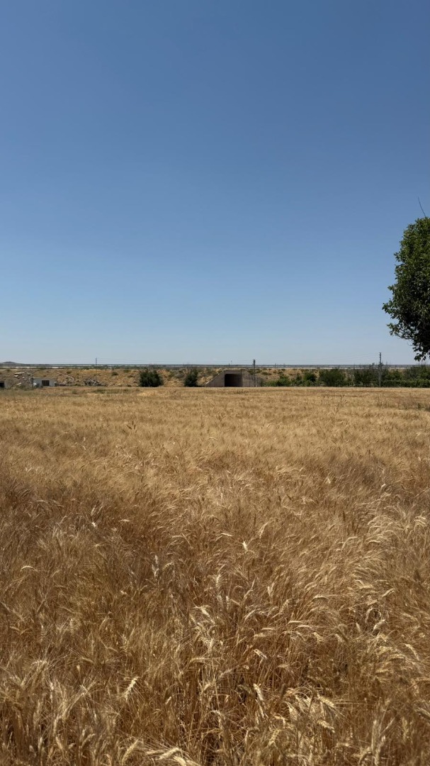 KAYSERİ DEVELİ GÜNEYAŞAĞI MAHALLESİ TEKKEFIDINI MEVKİİNDE SATILIK BAHÇE